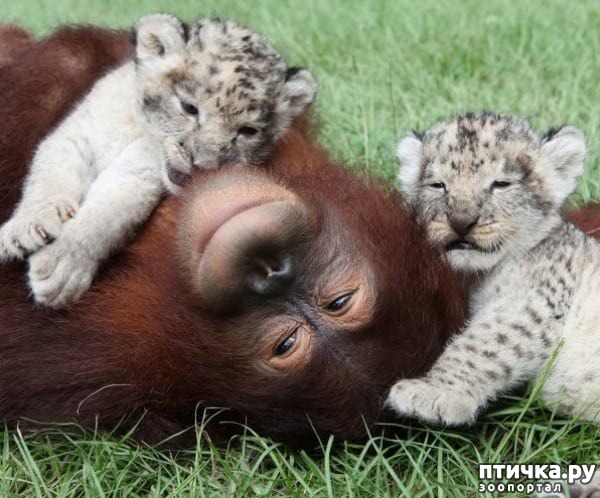 ���� 17: 20 �������� ����, ��� ����� ������������ �������� �� �����