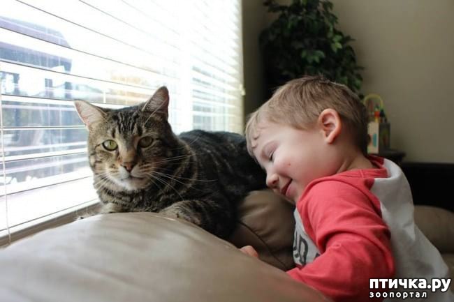 ���� 18: 20 �������� ����, ��� ����� ������������ �������� �� �����