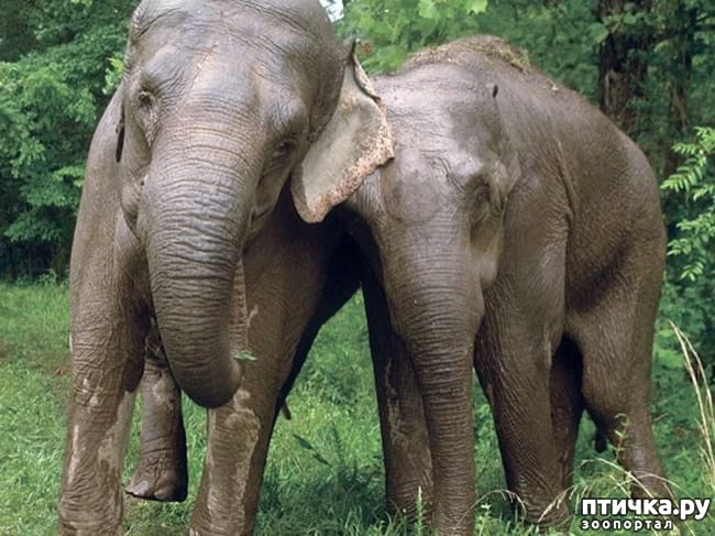 ���� 19: 20 �������� ����, ��� ����� ������������ �������� �� �����