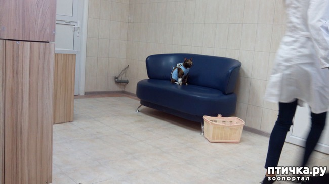 ���� 3: ��� �� �� ������ ������� � ����������