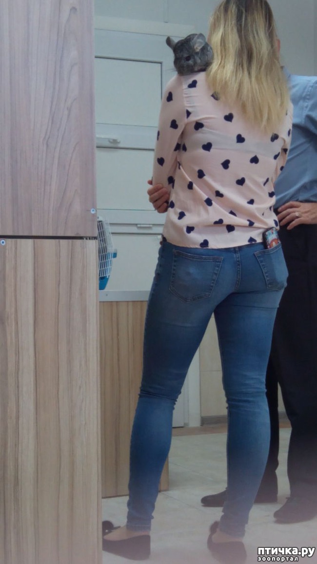 ���� 4: ��� �� �� ������ ������� � ����������