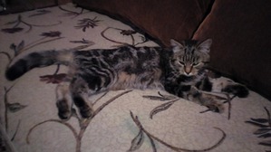 ����: ������������! ��� �� ������??