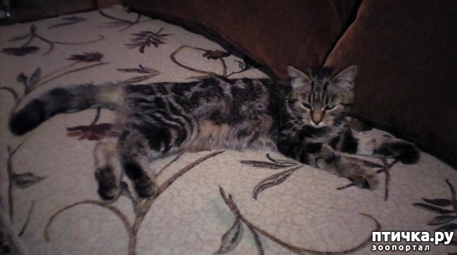 ���� 1: ������������! ��� �� ������??