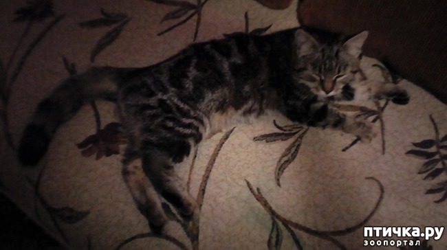 ���� 3: ������������! ��� �� ������??