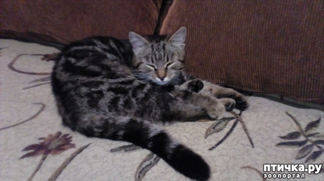 ���� 2: ������������! ��� �� ������??