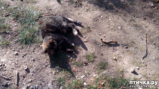 ���� 6: ��� �� �� ������ ������� � ����������