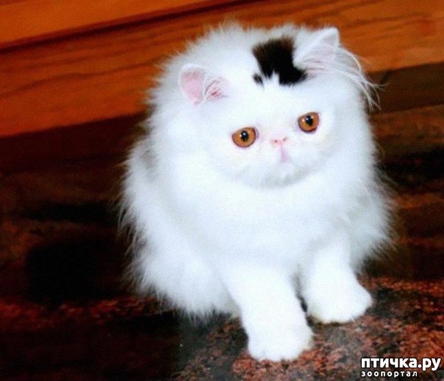 ���� 2: ����� ����������������, ���������, ������� ������...