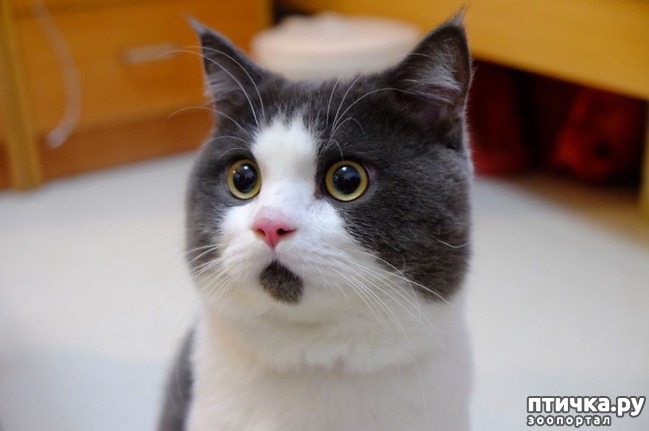 ���� 4: ����� ����������������, ���������, ������� ������...