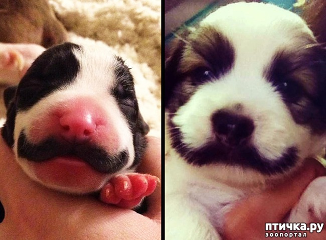 ���� 5: ����� ����������������, ���������, ������� ������...