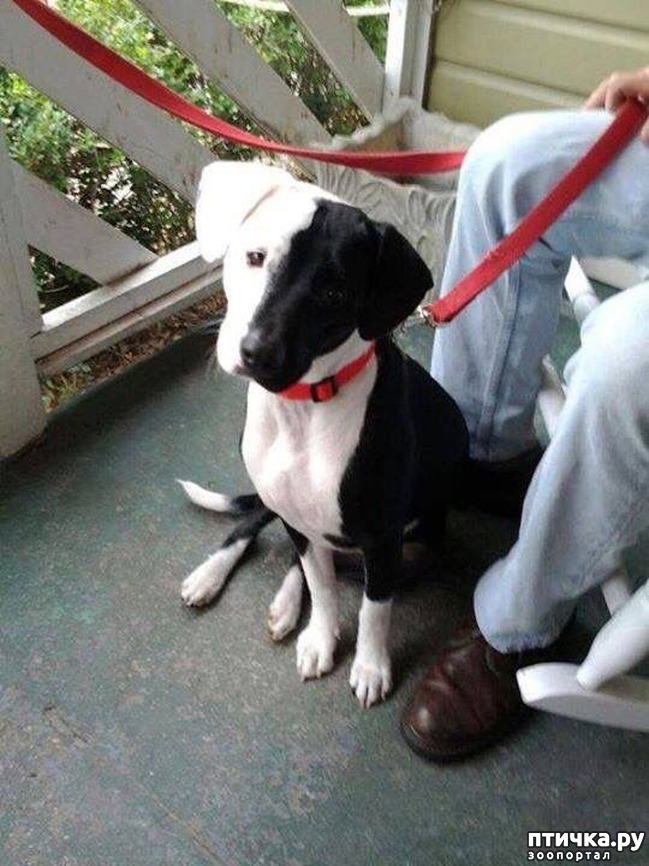 ���� 7: ����� ����������������, ���������, ������� ������...