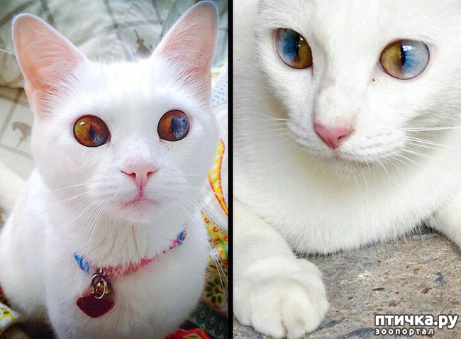 ���� 8: ����� ����������������, ���������, ������� ������...