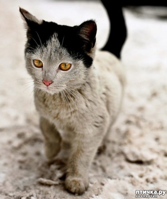 ���� 9: ����� ����������������, ���������, ������� ������...