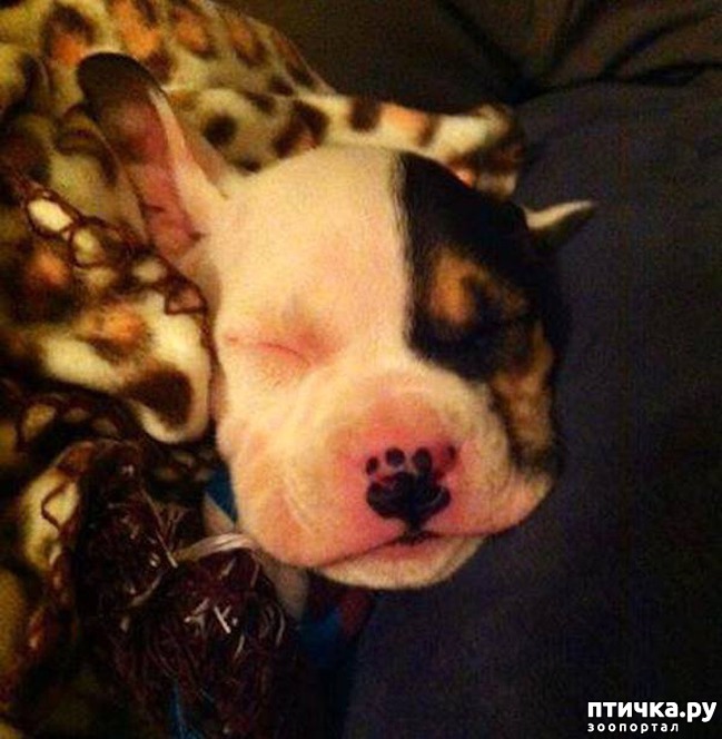 ���� 10: ����� ����������������, ���������, ������� ������...