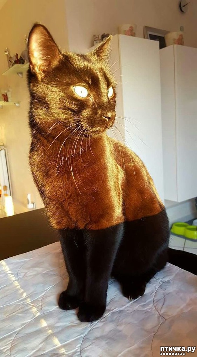 ���� 12: ����� ����������������, ���������, ������� ������...