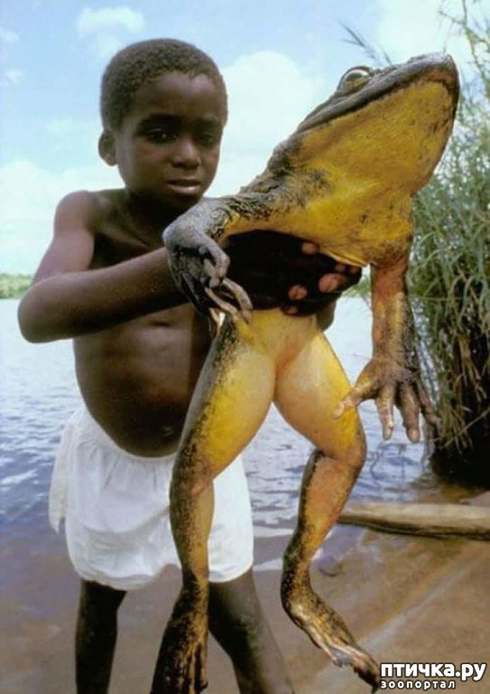 ���� 1: �� � ����!