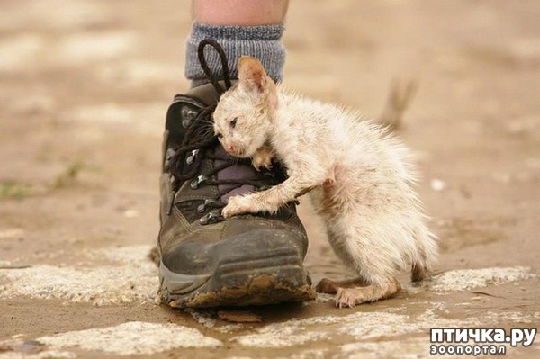 ���� 1: ��������� ���