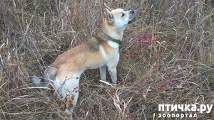 ����: ������ ������ ��������� �������� � ����� �� ��������