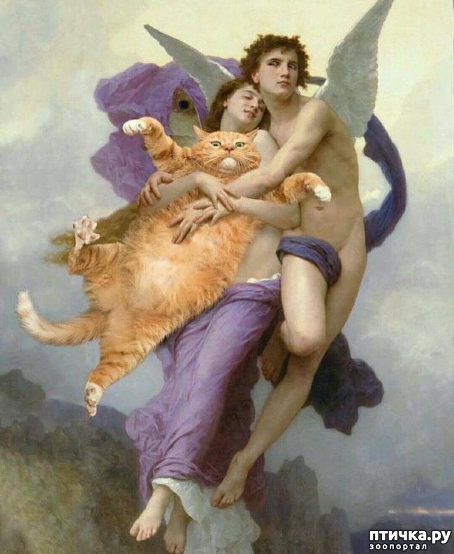 ���� 2: ����� ������� �� ���������