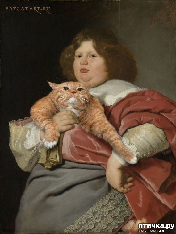 ���� 4: ����� ������� �� ���������