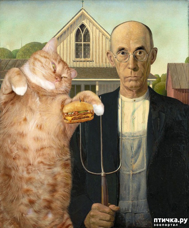 ���� 7: ����� ������� �� ���������