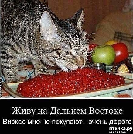 ���� 1: ���� � ��� ���!