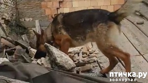 ����: ������ ������� �������� ���������� ���-�����, ��� �� �������� ��������! ����� ���� �����, �����!