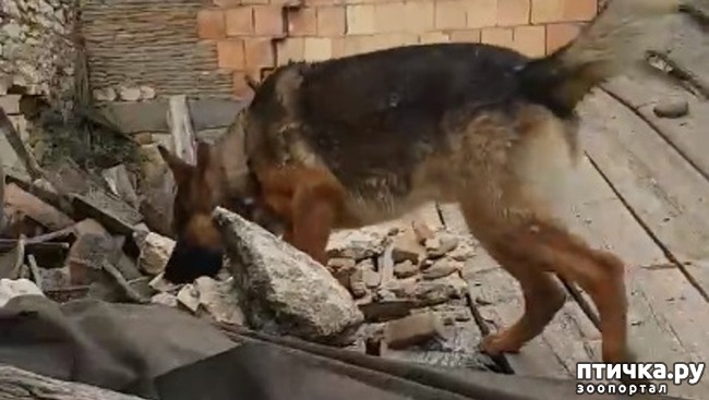 ���� 1: ������ ������� �������� ���������� ���-�����, ��� �� �������� ��������! ����� ���� �����, �����!