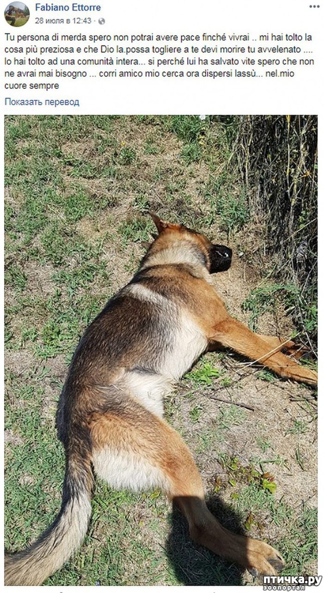 ���� 2: ������ ������� �������� ���������� ���-�����, ��� �� �������� ��������! ����� ���� �����, �����!