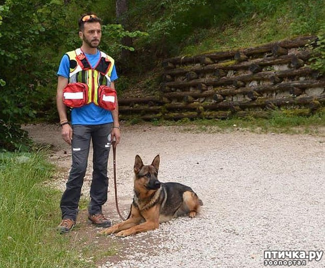 ���� 3: ������ ������� �������� ���������� ���-�����, ��� �� �������� ��������! ����� ���� �����, �����!