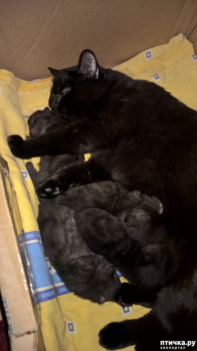 ���� 3: �� ������