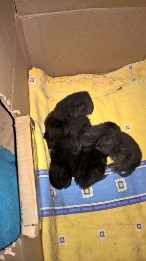 ����: �� ������