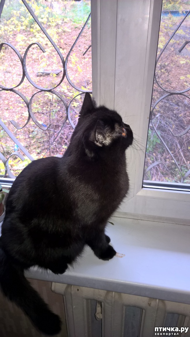 ���� 2: �� ������