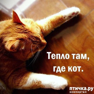 ����: �����������: ������ ����!