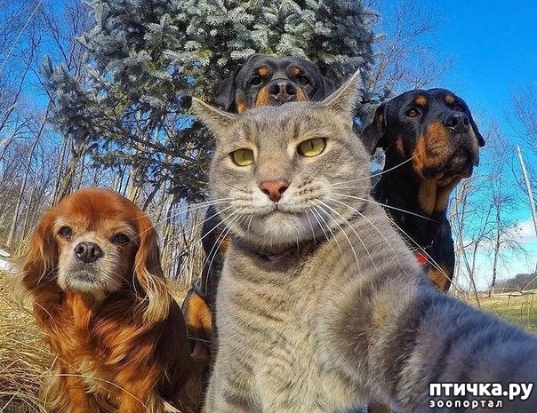 ���� 1: ����� � ������!