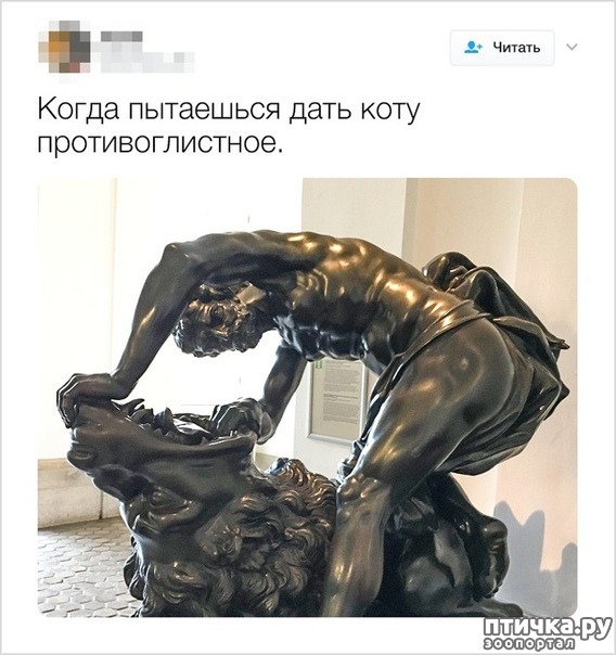 ���� 1: ������ �����