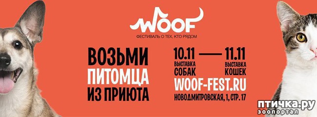 ���� 1: ��������� � ������