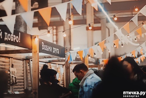 ���� 2: ��������� � ������