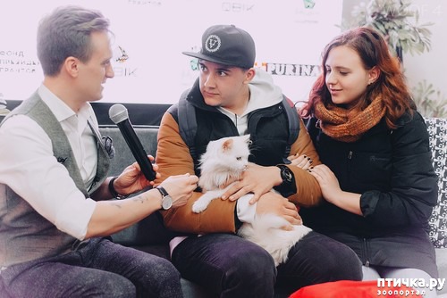 ���� 3: ��������� � ������