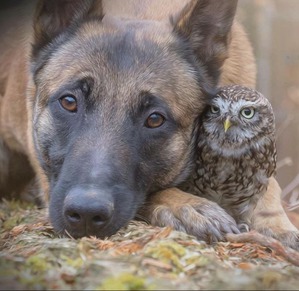 ����: ��������� ������