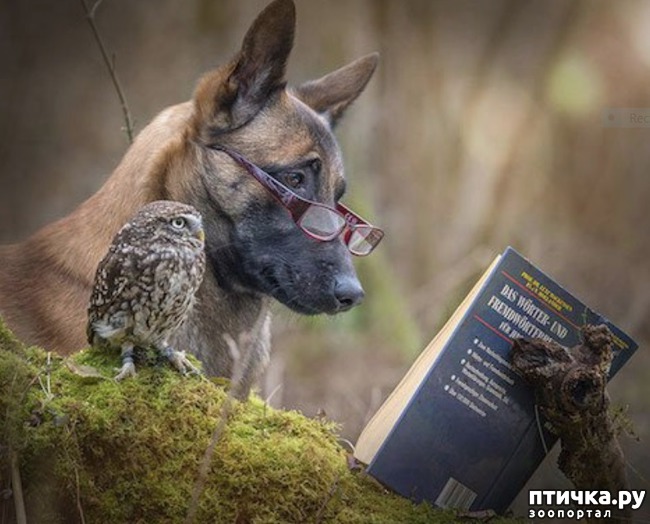 ���� 2: ��������� ������