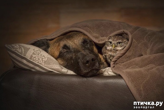 ���� 3: ��������� ������