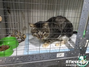 ����: ���)))