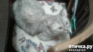 ����: ������� ������!))