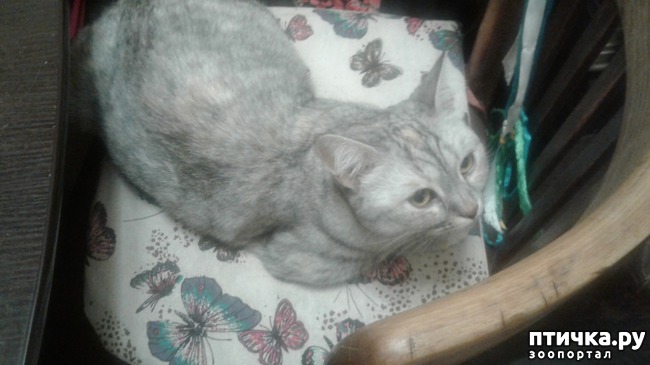 ���� 1: ������� ������!))