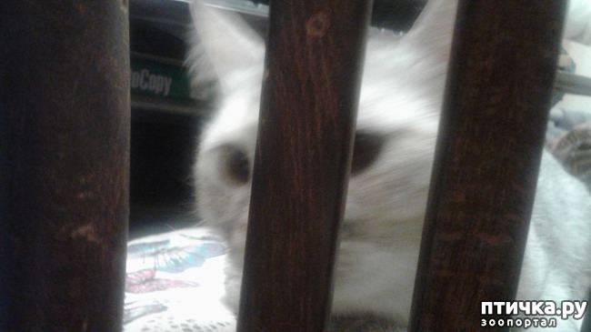 ���� 2: ������� ������!))