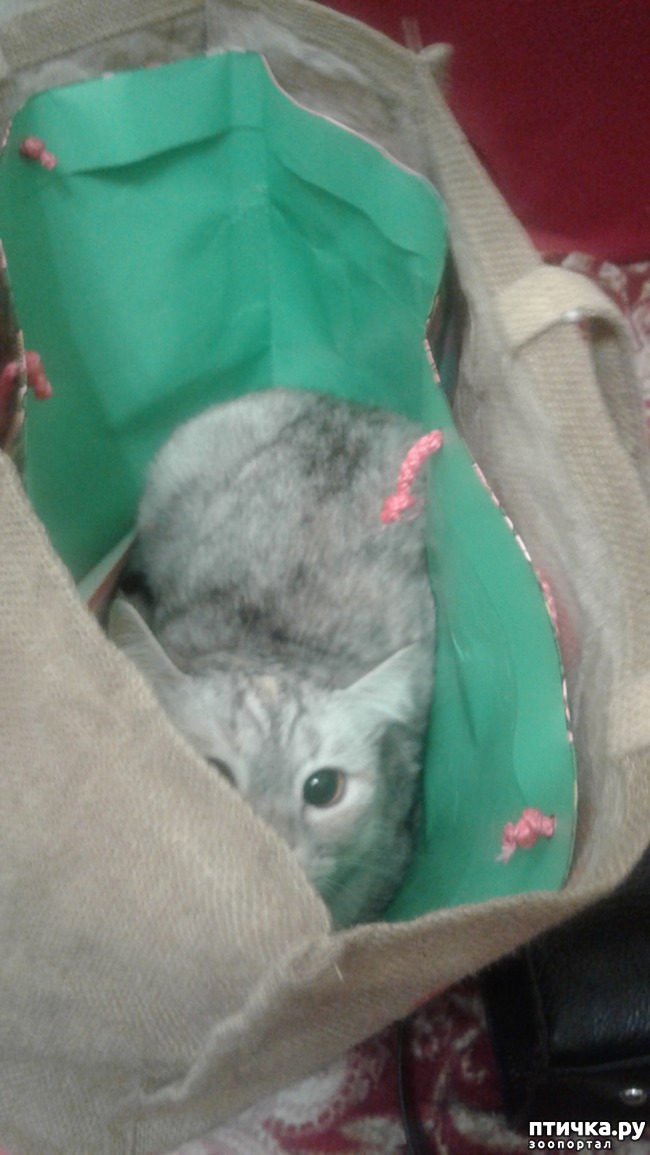 ���� 4: ������� ������!))