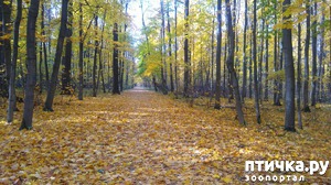 ����: ������� ������ � ����� � �������.)))