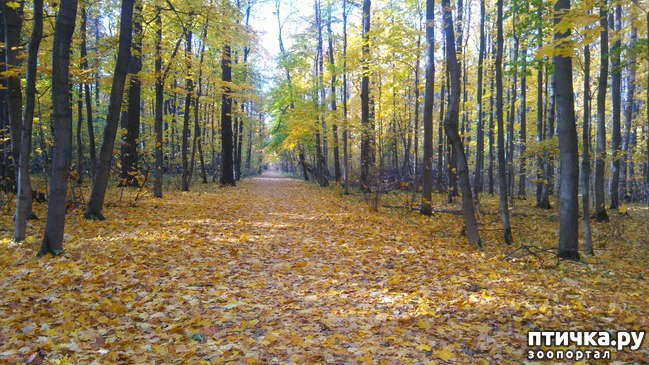 ���� 1: ������� ������ � ����� � �������.)))