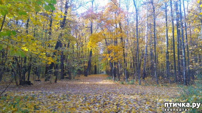 ���� 2: ������� ������ � ����� � �������.)))