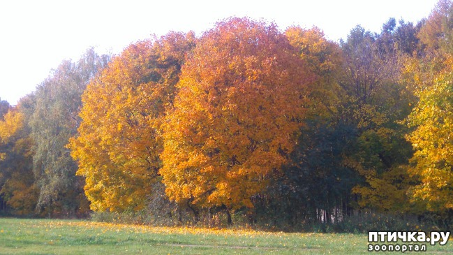 ���� 3: ������� ������ � ����� � �������.)))